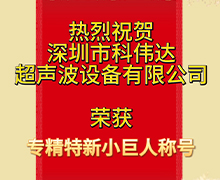 香港图库资料宝典：荣获深圳市第五批专精特新“小巨人”企业荣誉称号